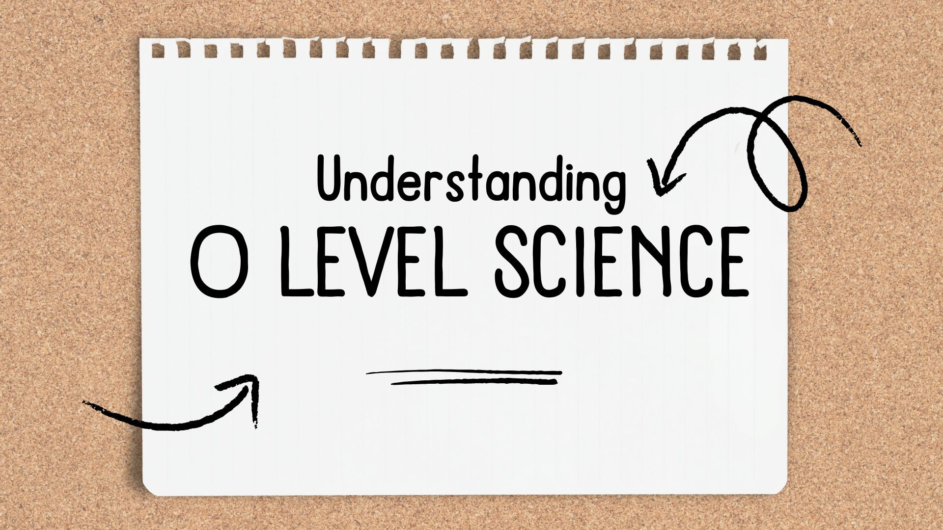 Empowering the Next Generation: Navigating the O-Level Science Syllabus